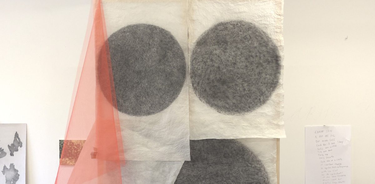 Soil in progress: Credit Christine Mackey.