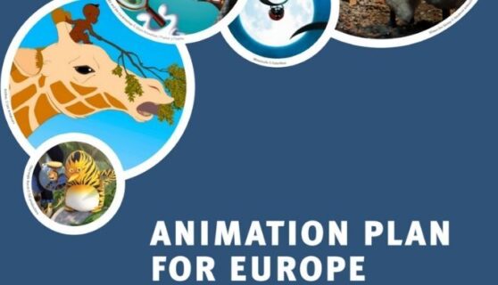 Animation Plan EU 7x3