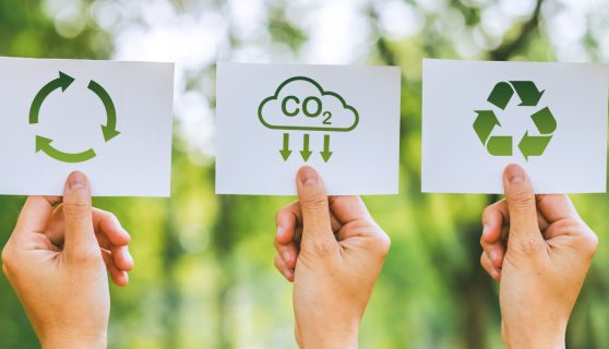 CreaSus (2023 - 2026)