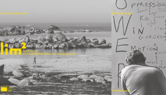 LIM website