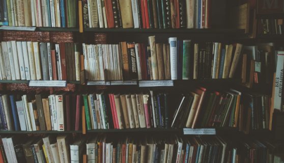 Photograph of bookshelves.