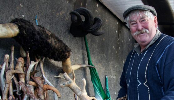 Seanie Barron Walking Sticks, 2014. Credit: Seanie Barron.