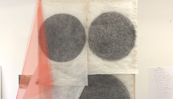 Soil in progress: Credit Christine Mackey.