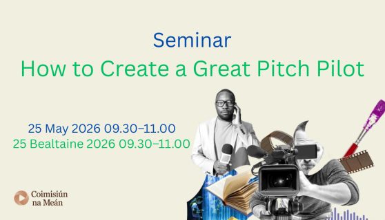 Seminar The Pitch Pilot