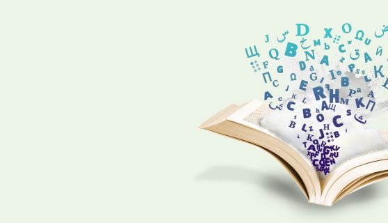Book Fair Banner
