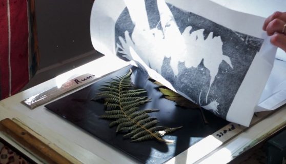 Cork Printmskers 1200 600