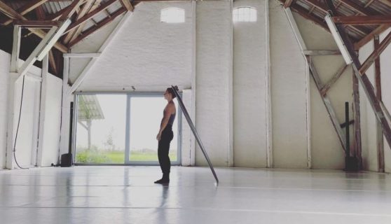 Beverley Grant (Ireland) at BIRCA (Denmark).