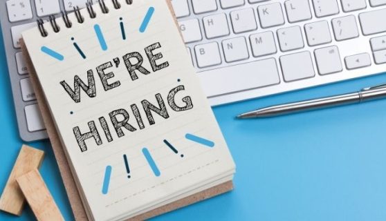Job Ad 7 X3