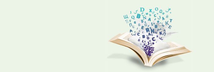 Book Fair Banner