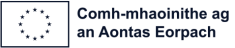 Comb-mhaoinithe ag an Aontas Eorpach
